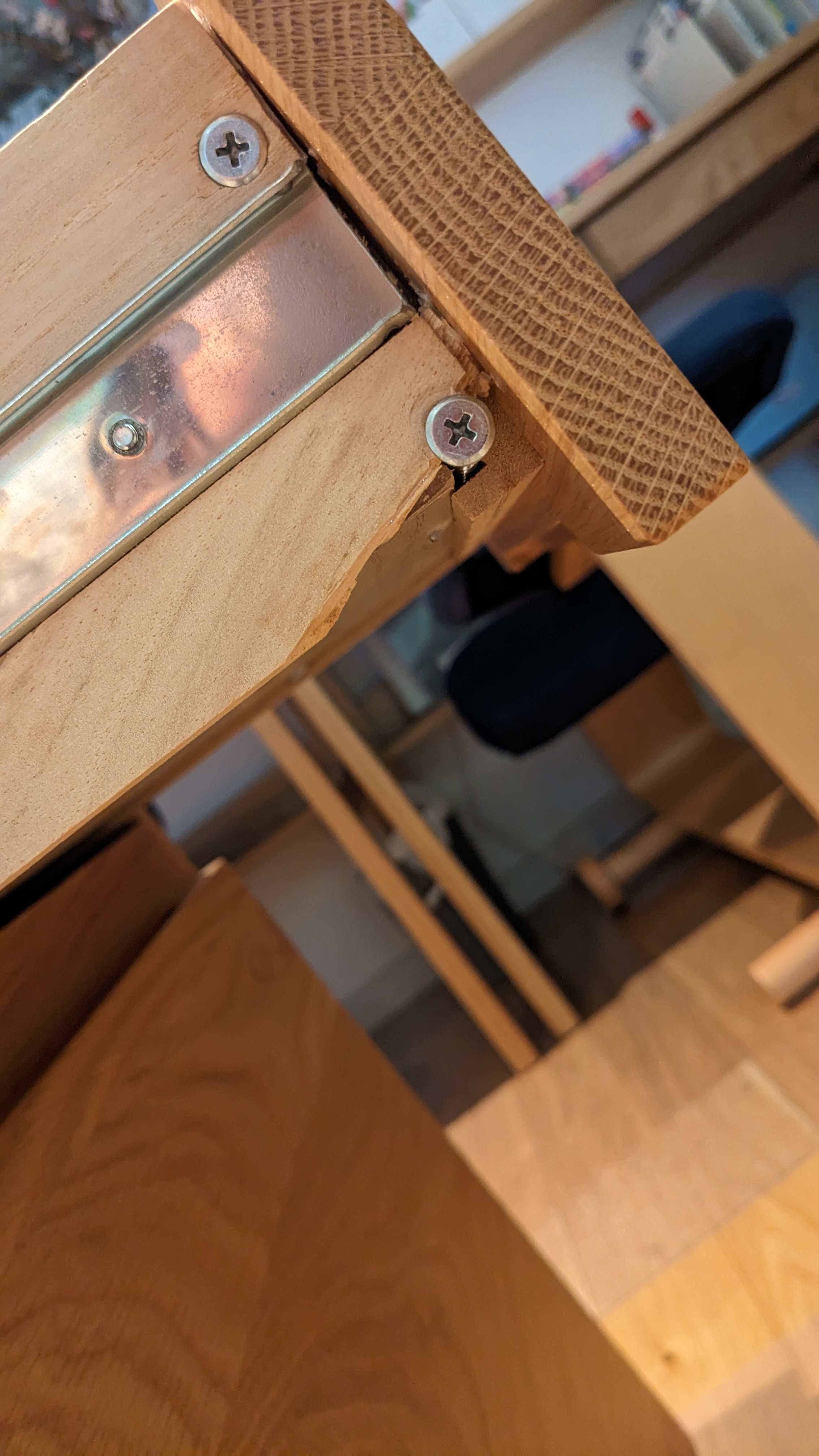 レビュー投稿画像