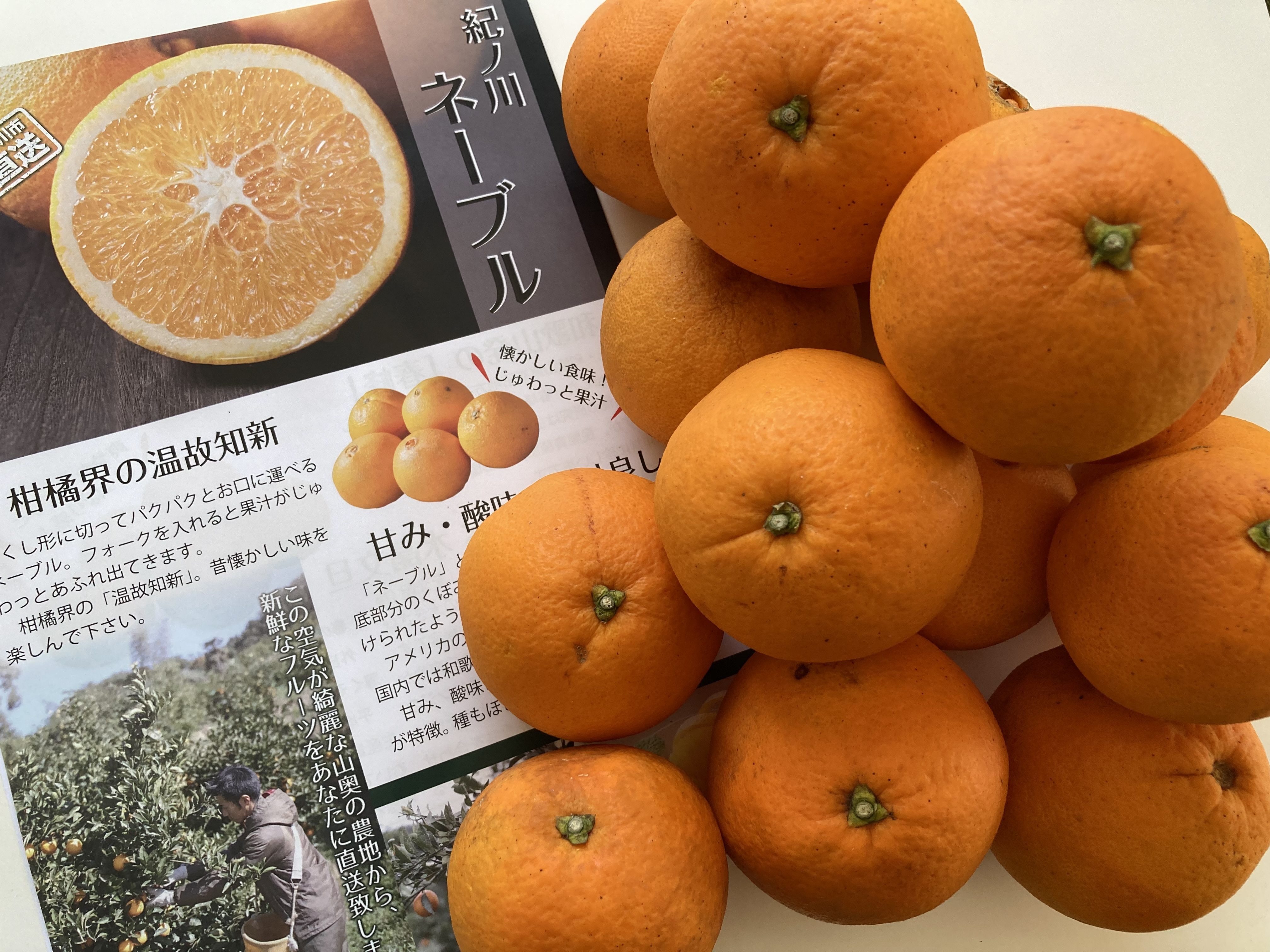 レビュー投稿画像