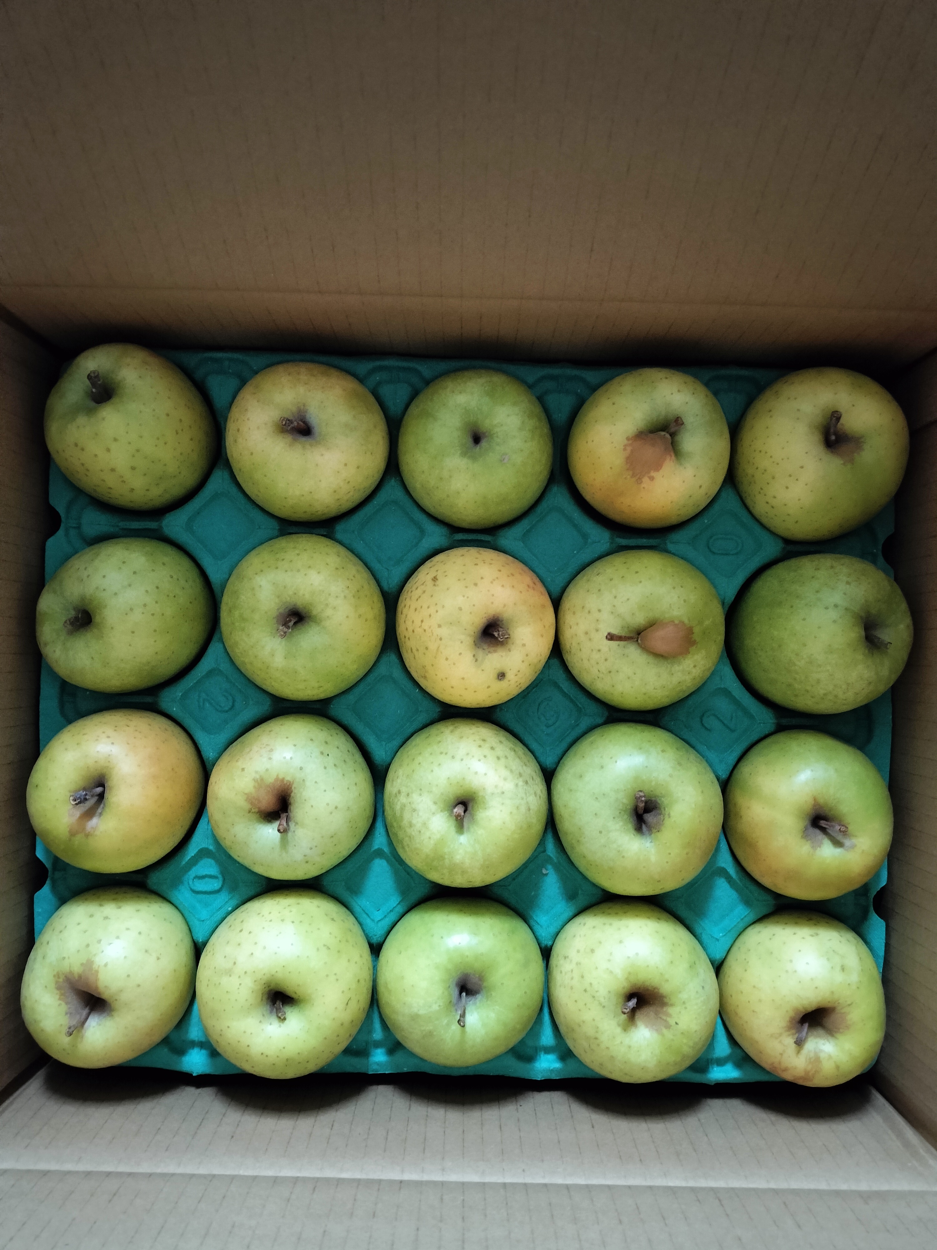 レビュー投稿画像