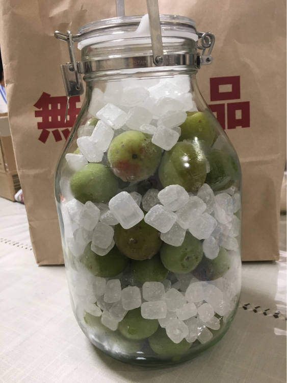 果実酒用ビン 商品別レビュー 通販 無印良品