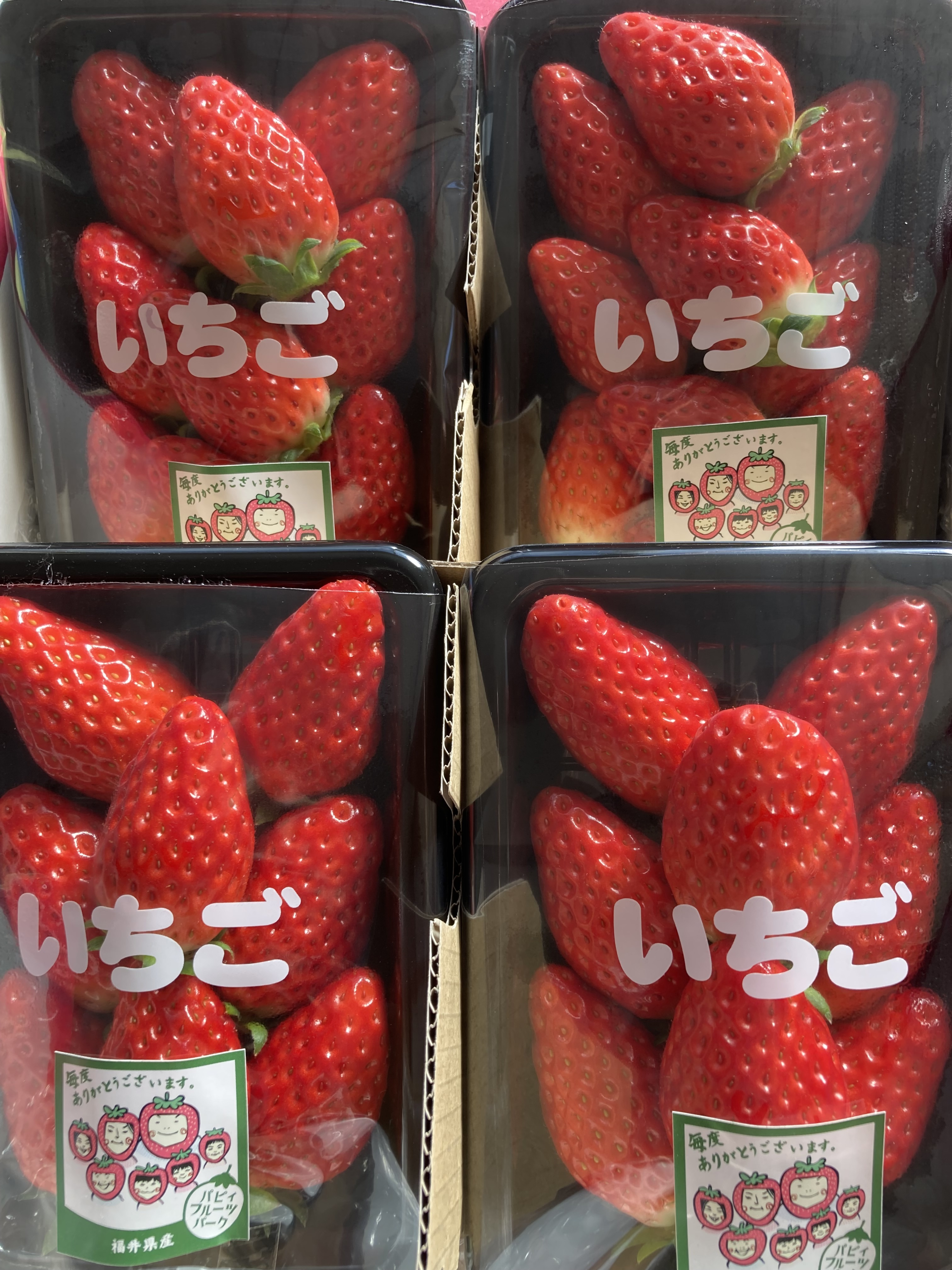 レビュー投稿画像