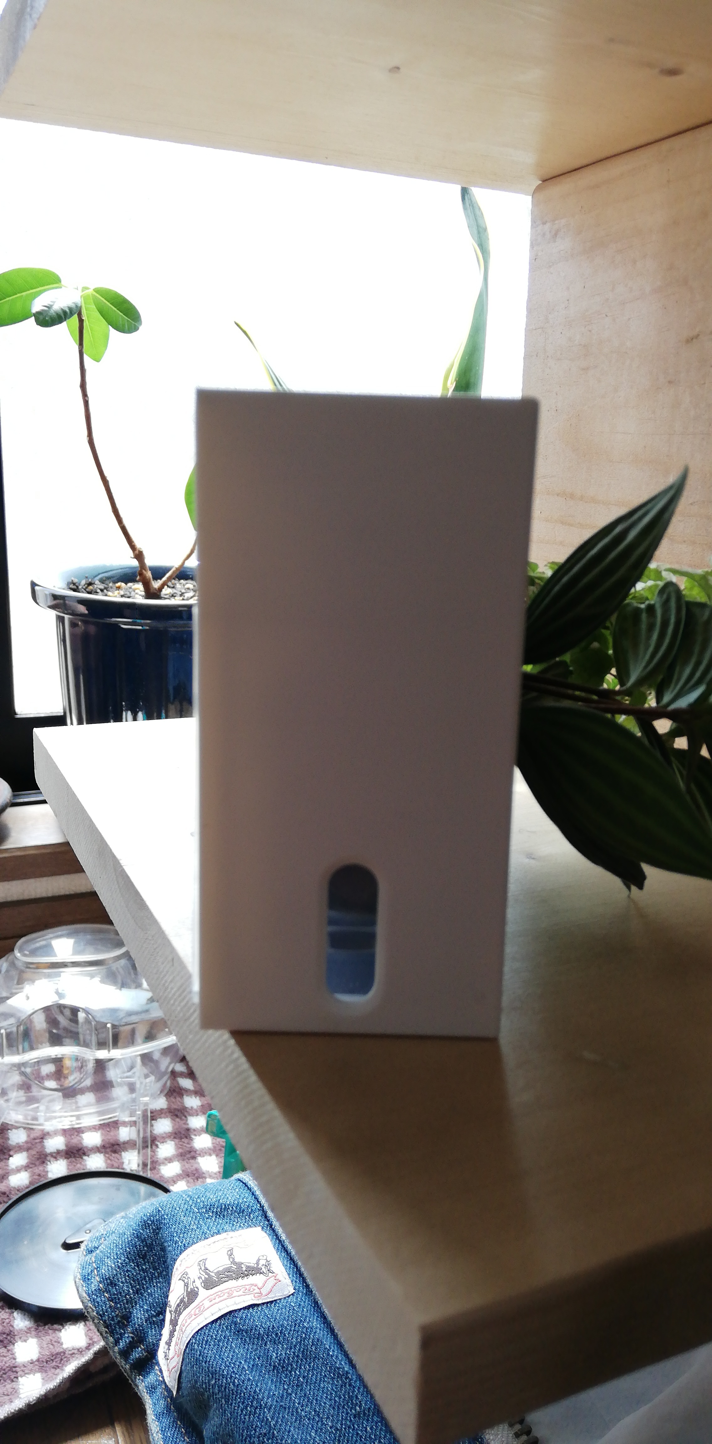 壁にかけられる観葉植物 １５ １０ｃｍ 商品別レビュー 通販 無印良品